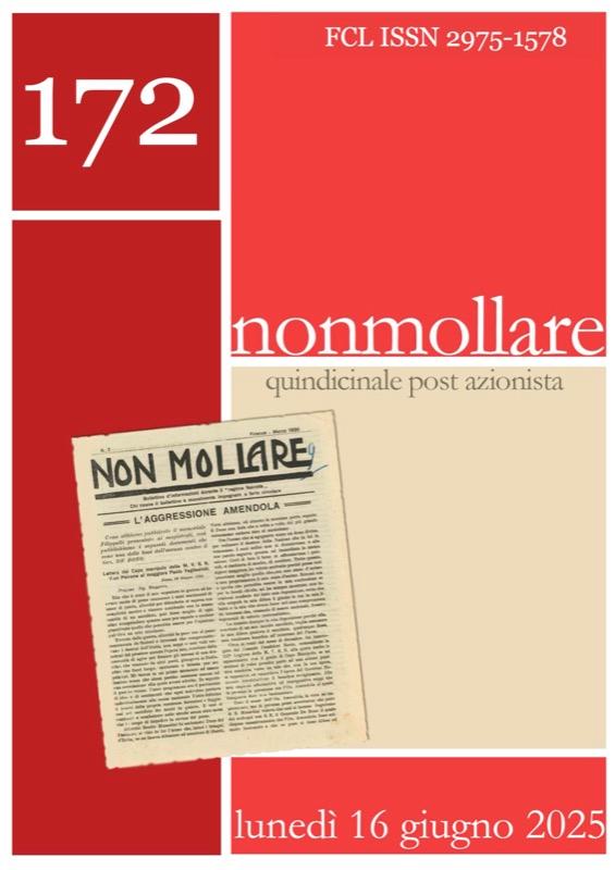 Articolo sul diritto internazionale pubblicato su nonmollare